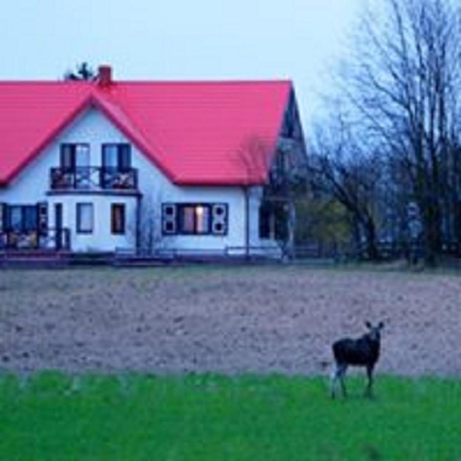 Losiowy Kat Goniadz Exterior foto
